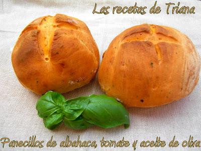 Panecillos de albahaca, tomate y aceite de oliva