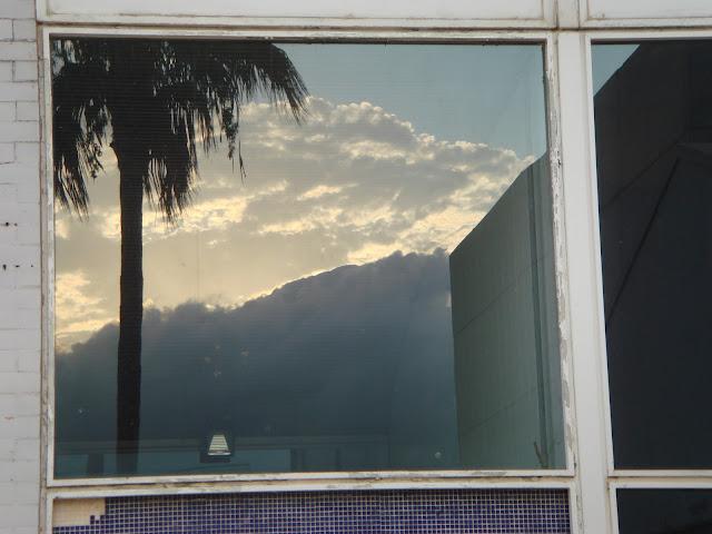 Flowers...............