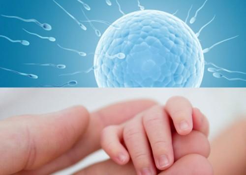 técnicas de fertilidad