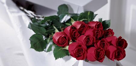 ¿Enamorado o Apasionado?