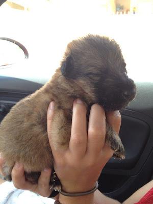 URGENTE!! BEBE DE 3 SEMANAS‏.