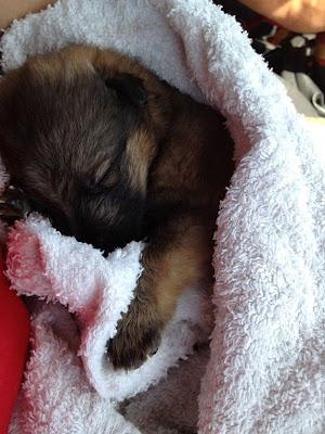 URGENTE!! BEBE DE 3 SEMANAS‏.