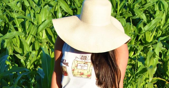 Good morning, summer...