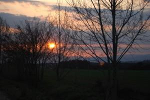 LA HOGUERA DE LAS VANIDADES