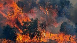 El fuego ha arrasado más del doble que el año pasado