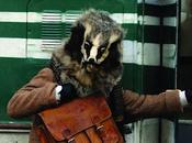 Guanajuato 2012/II último