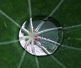 VIAJE AL PROPIO CENTRO