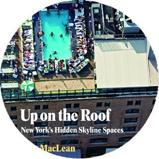 Up on the roof: New York´s hidden Skyline Spaces