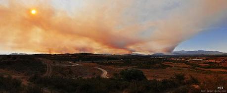 Devastation by Mònica Quintana