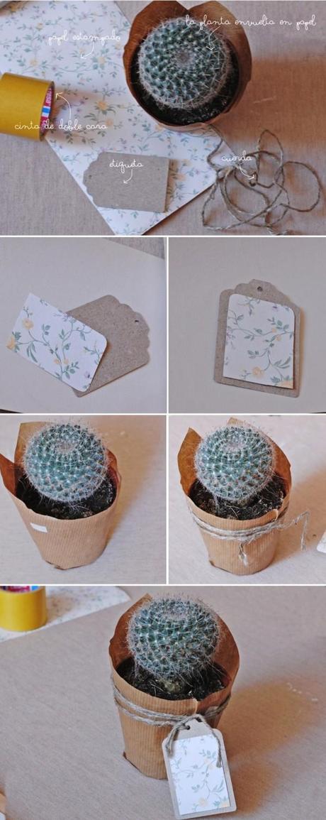 DIY #36. Decorando plantitas/Decorating plants