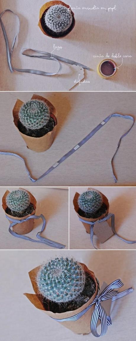 DIY #36. Decorando plantitas/Decorating plants