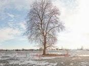 Harris Eisenstadt: Canada (Songlines, 2012)