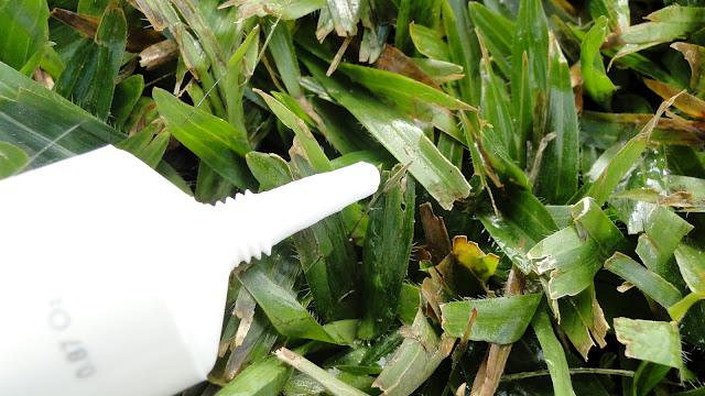 Las manos en la tierra.