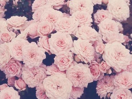 Things I love... tumblr_l8yb07yZt31qa9upho1_500_large