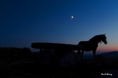 Vestigios del pasado