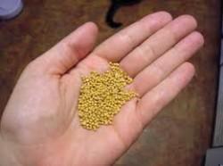 Una fe pequeña en Dios