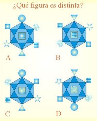 IV Sorteo de Muestras