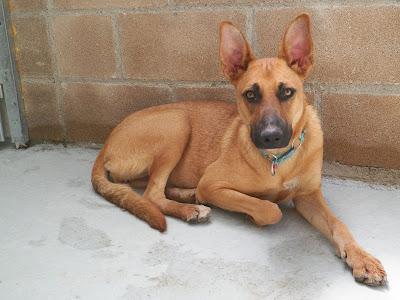 HADA aún está sola.