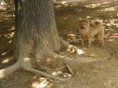 Pome, un caprichito‏ que ahora no quiero!!
