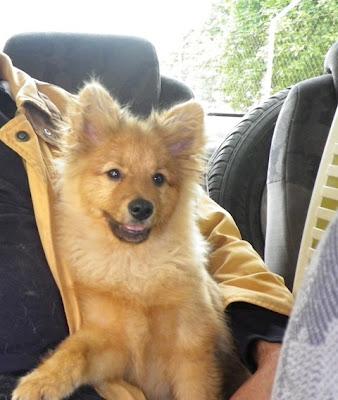 Pome, un caprichito‏ que ahora no quiero!!