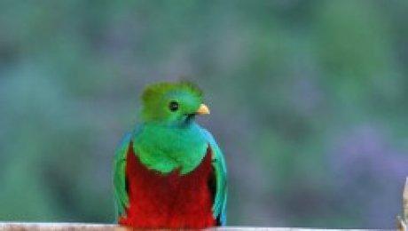 ubuntu-1210 ubuntu 1210 Disponible Ubuntu 12.10 Quantal Quetzal Alpha3