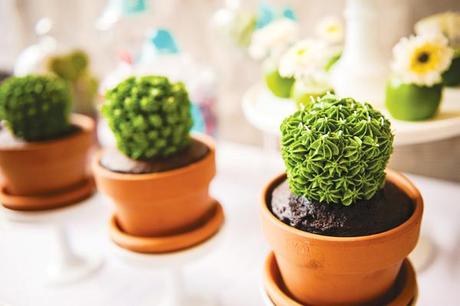 macetas hechas de bizcocho