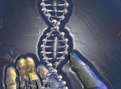 Einte pasos para activar líneas tiempo quinta dimensión