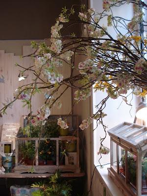 El lugar de mis sueños