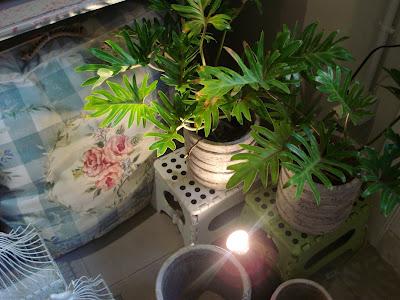 El lugar de mis sueños