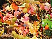 Paul Plimley Barry Lucas Niggli: Hexentrio (Intakt, 2012)