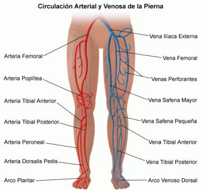 La depresión asociada a trastornos circulatorios