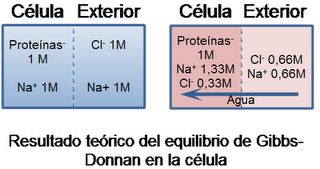 Fisiología del agua y los electrolitos