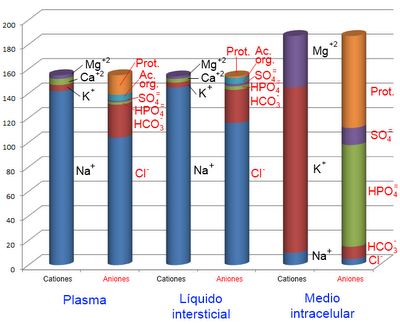 Fisiología del agua y los electrolitos