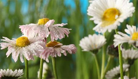 Por fin, de vacaciones