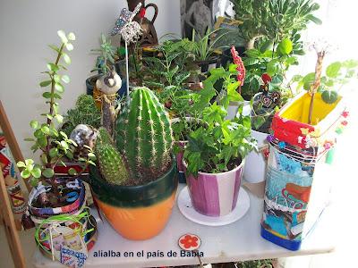 La salamandra que vive en mi mini- jardin
