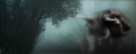 Reseña de Literatura | La Niebla, de Stephen King