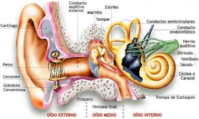 Otitis, síntomas y tratamiento