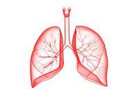 Remedios para Los Pulmones