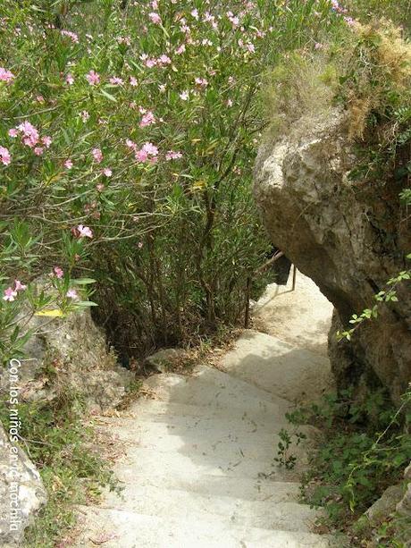 El Gorg del Salt en el Barranco de la Encantada (Planes, Alicante)