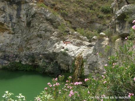 El Gorg del Salt en el Barranco de la Encantada (Planes, Alicante)