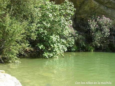 El Gorg del Salt en el Barranco de la Encantada (Planes, Alicante)