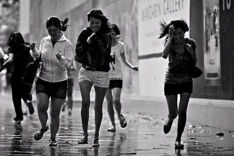 Lluvia, colección fotográfica