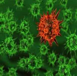 Un tratamiento para el Alzheimer se muestra promisorio en un pequeño estudio de tres años