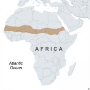 Los niños con riesgo