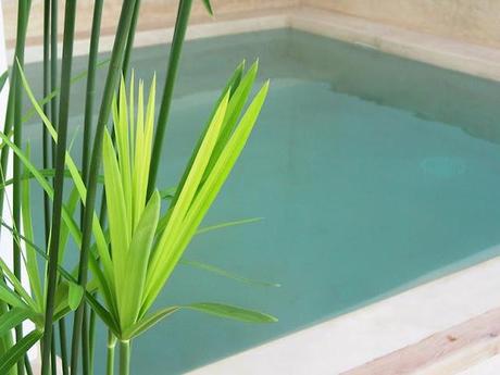 Diseño en la medina