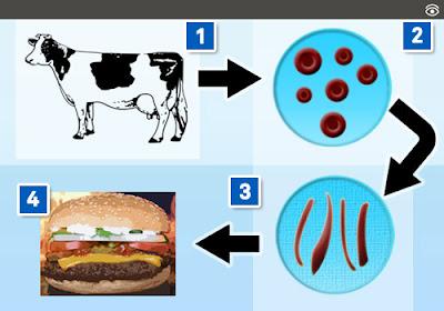 HAMBURGUESAS DESARROLLADAS 100% EN LABORATORIOS ¿ES POSIBLE?