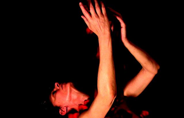 El libro de las fascinaciones - Carlos morales