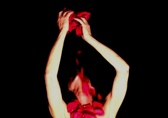 El libro de las fascinaciones - Carlos morales