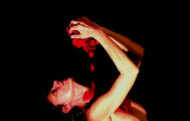 El libro de las fascinaciones - Carlos morales