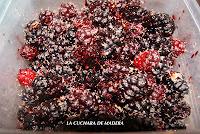 MERMELADA DE MORAS